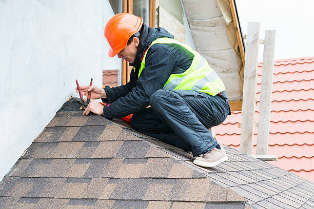 Best Flat Roof Repair Services  in Schuyler, NE